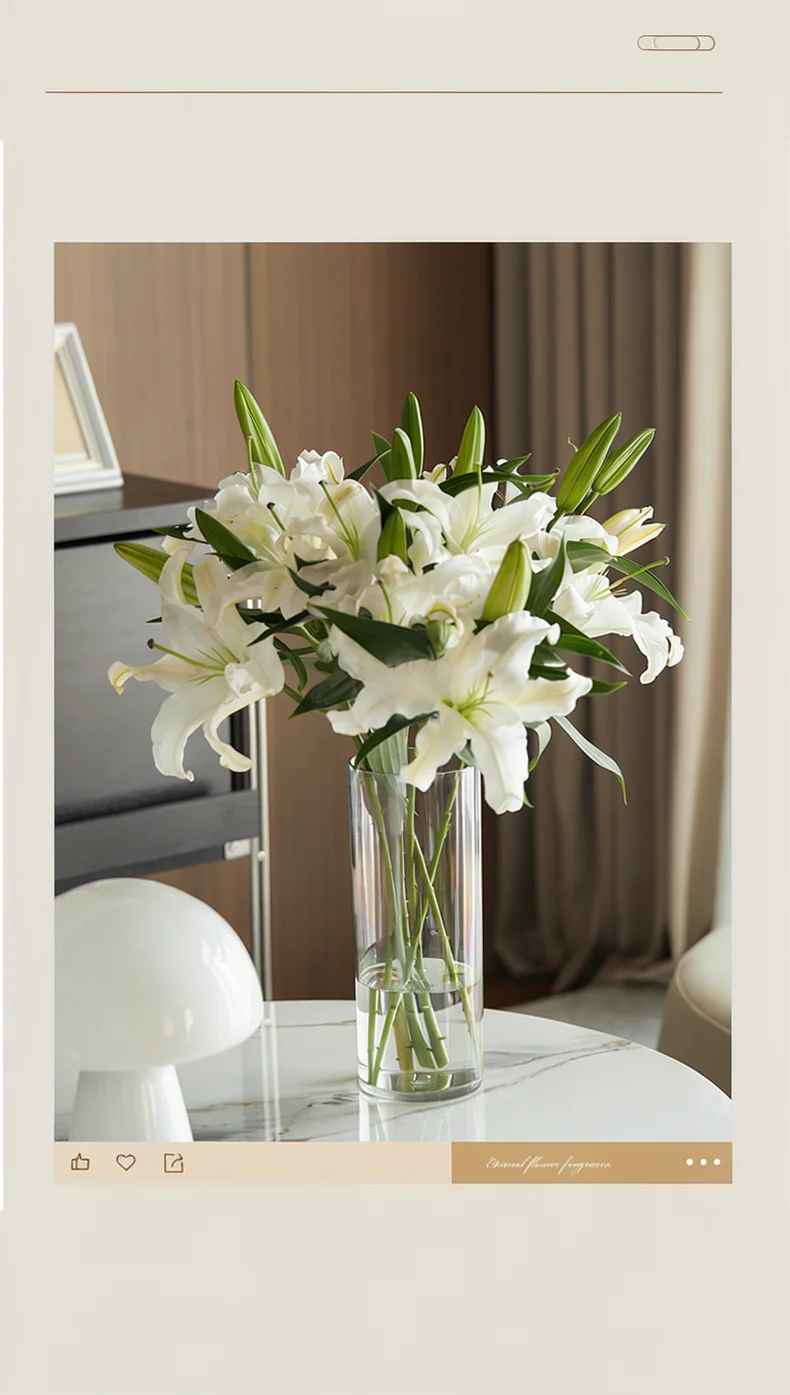 Clear Plastic Vase Cylinder Modern Decorative Flower Pot Thickened Hydroponic Plant Container Minimalist Home Ornament