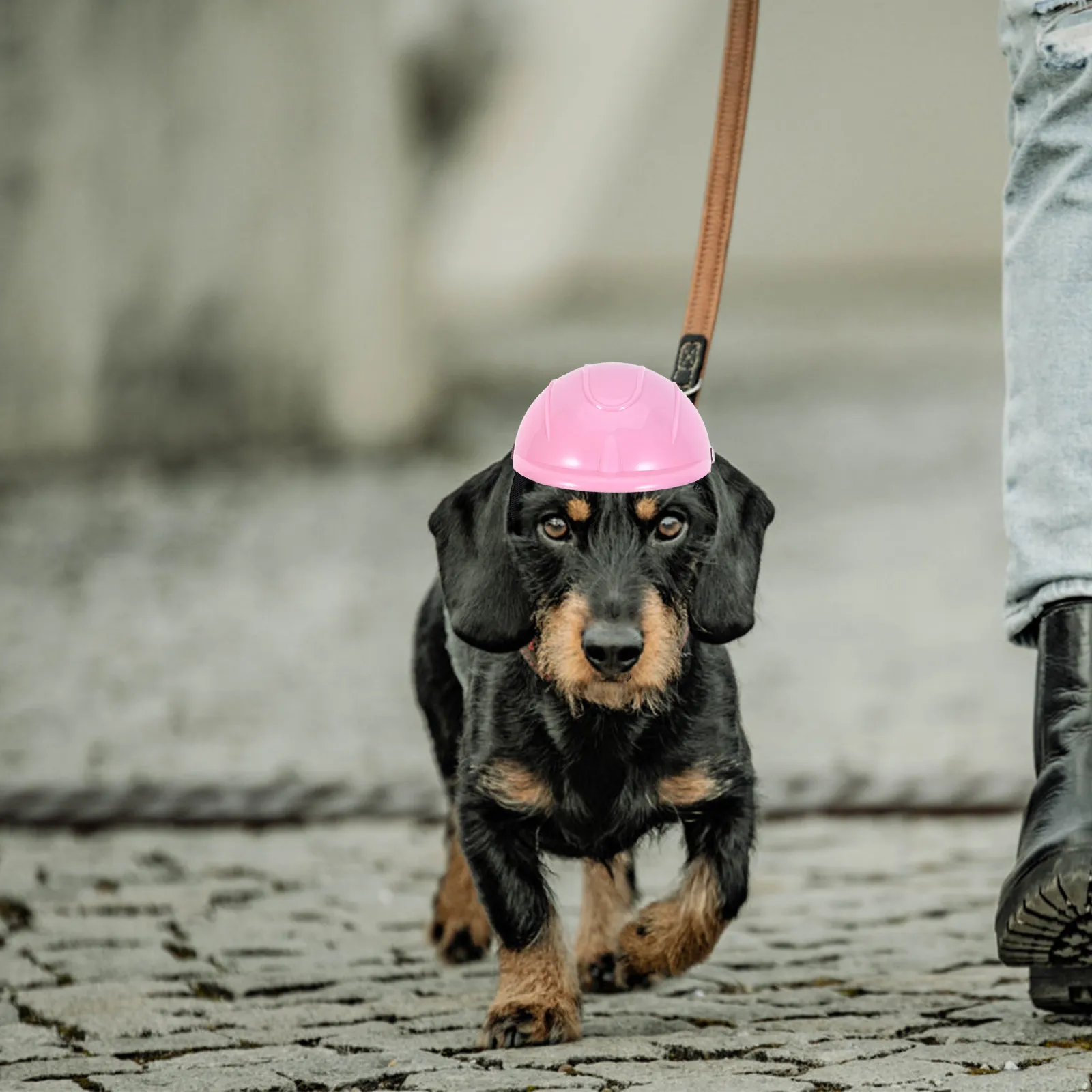 

Adjustable Dog Motorcycle for Small Breeds Chihuahua Pomeranian Yorkie Pet Safety with Breathable Mesh Chin Strap