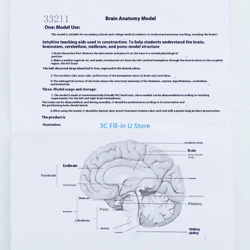 G8TA学生研究のためのディスプレイベースティーチングツールを備えた人間の脳解剖学的モデル