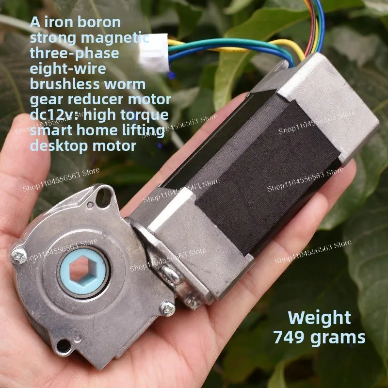DC12V Neodymium Boron High-power Brushless Motors, Worm Gear Reducer for Smart Home Lift Tables