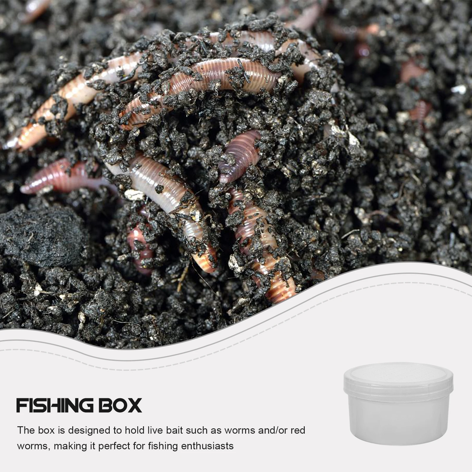 

Breeding Box Bait Case Durable Plastic Material Fishing Lures Storage Small Size Outdoor Box Accessory