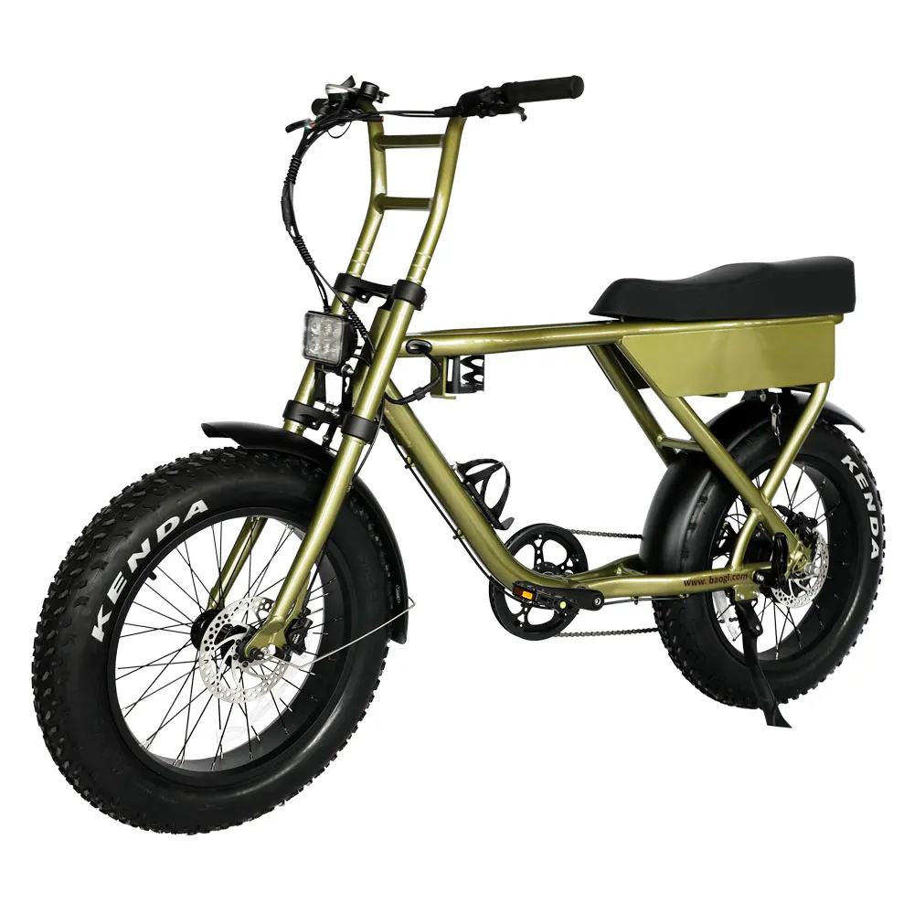 

Green 250W Type 73 Electric Fat Bike