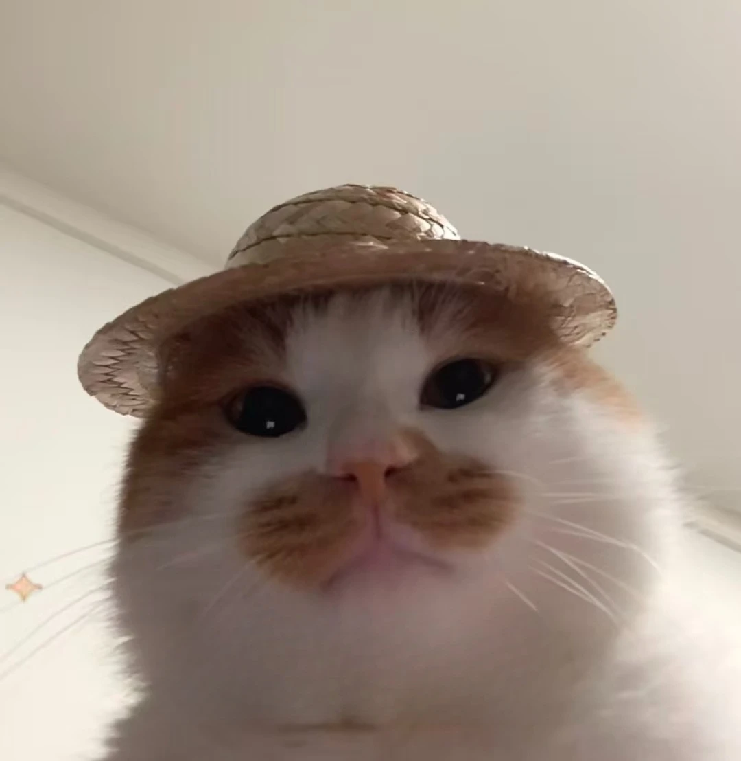 

Apply the reshipment link to cover the postage difference and make up for the price difference