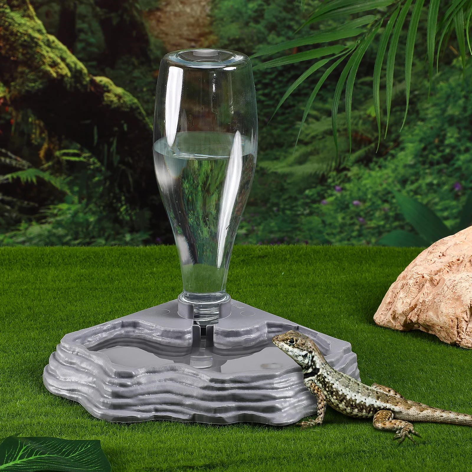 

Reptile Water Feeder Durable Plastic Automatic Refill Stable Base Terrarium Accessory Gecko Tank Tool Pet Supplies