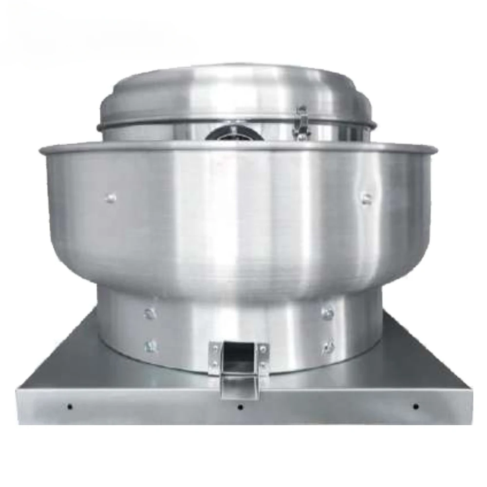 Competitive Price China Manufacture Roof Fan Vent Roof Fan Installation Roof Centrifugal Exhaust Fan