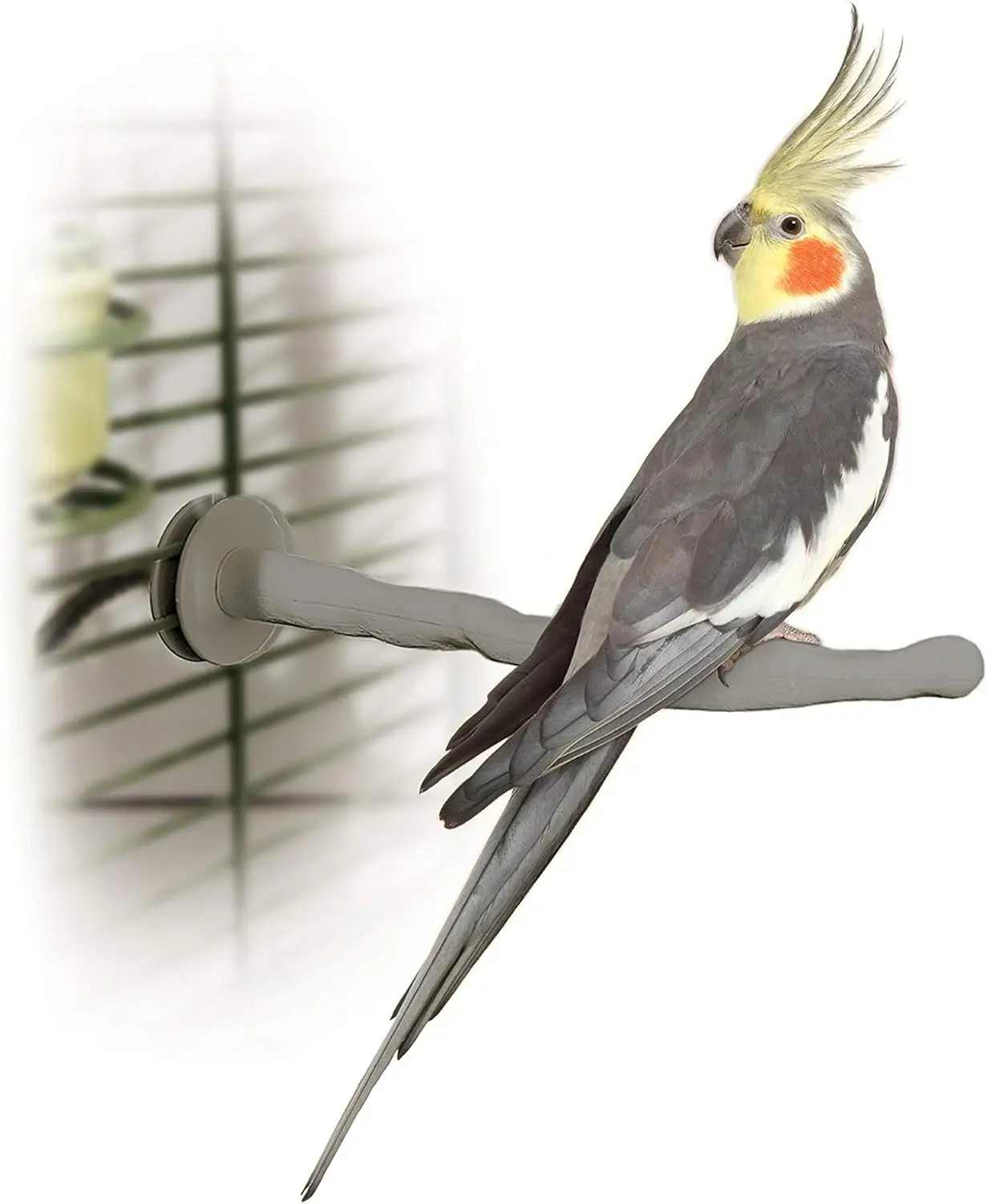 

Thermo-Perch Heated Bird Perch for Bird Cage, Cage Accessory, Exotic Warming Perch for Small/Medium Exotic Like