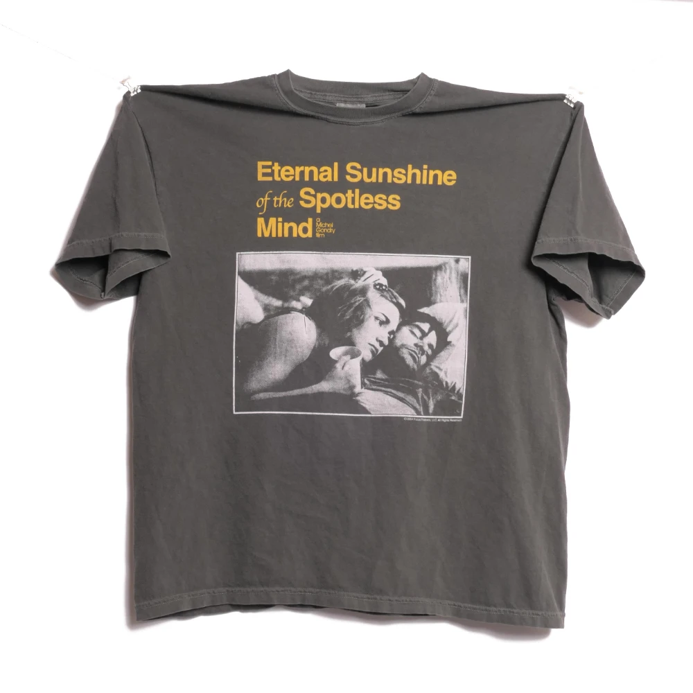 The Eternal Sunshine of A Beautiful Mind 