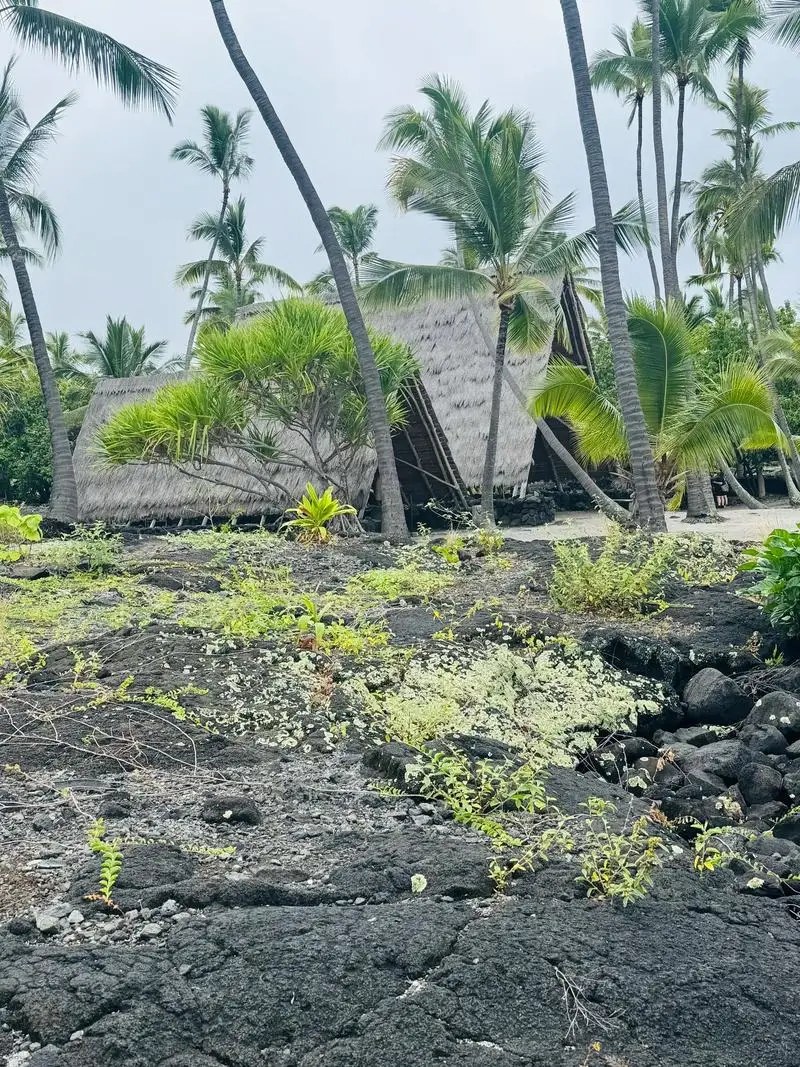 2000-6000W WIFI Hybrid Solar Wind Charge Controller Power System MPPT Solar Regulator For 12V 24V 48V Lithium Lead-acid Battery