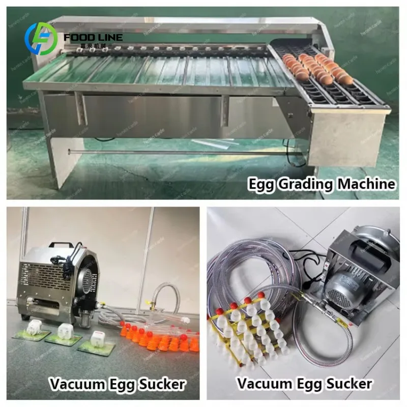 Customized 3000 4000 5000 Egg/hr Stainless Steel Small Automatic Egg Scale Grader Duck Chicken Sort Grade Egg Grading Machine