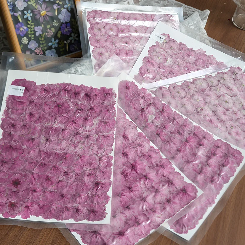 

Spring Cherry Blossom Dried Flower Pressed Flower Real Plant Specimen Resin Photo Frame Bookmark Scented Candle DIY Handmade 1000Pcs Large Package