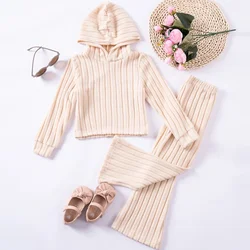 Toddler Spring/Autumn Girls Suit Hooded Top and Pants Two-piece Set Solid Color Casual Daily Girls Clothing Elastic Comfortable