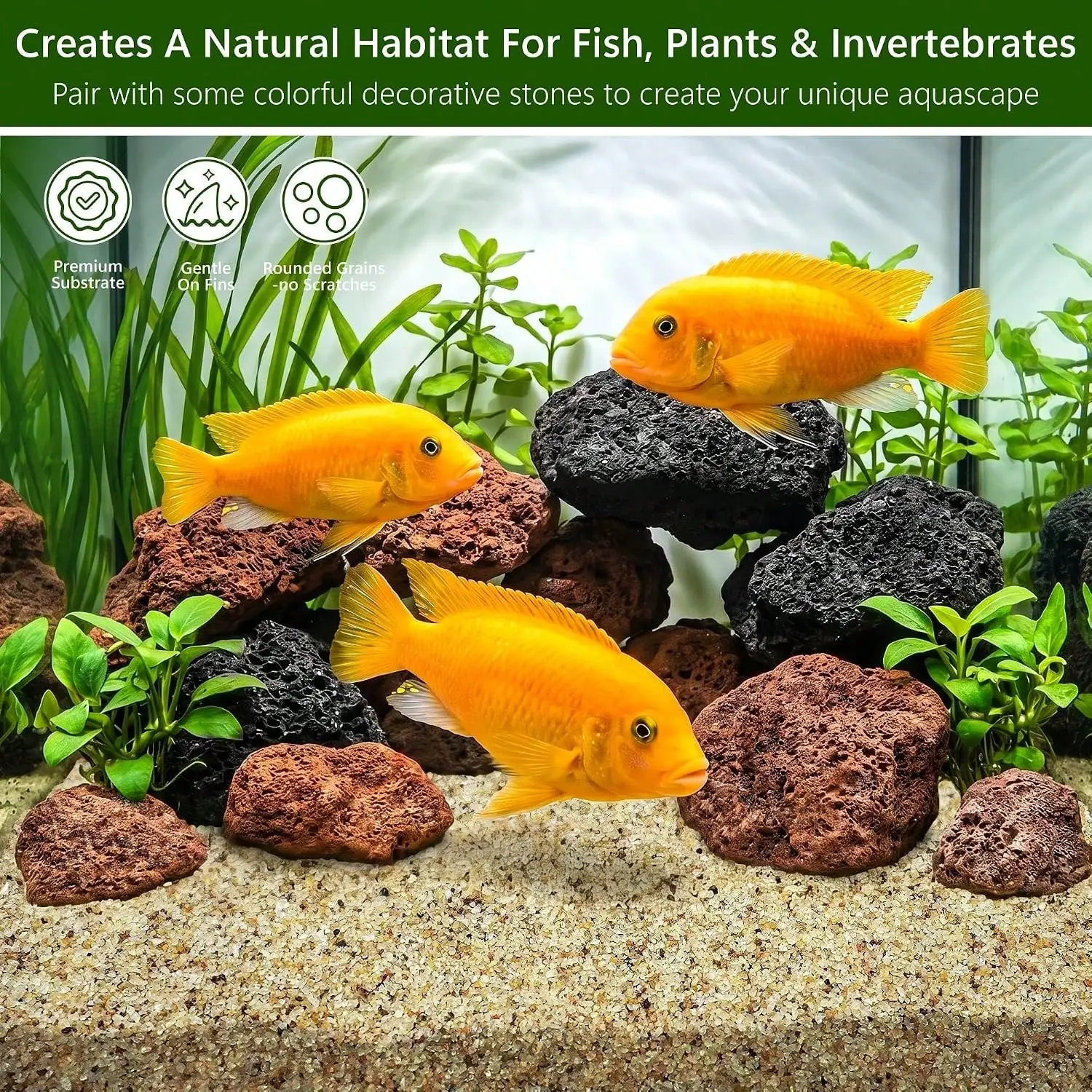 0.4-0.8mm White Aquarium Sand, - Aquarium Planted Tank Substrate ulasan dan harga