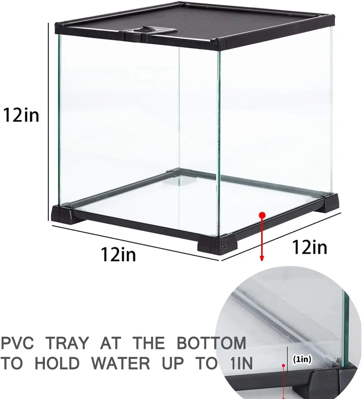 Small Glass Tank 8 Gallon Top Opening Terrarium 12