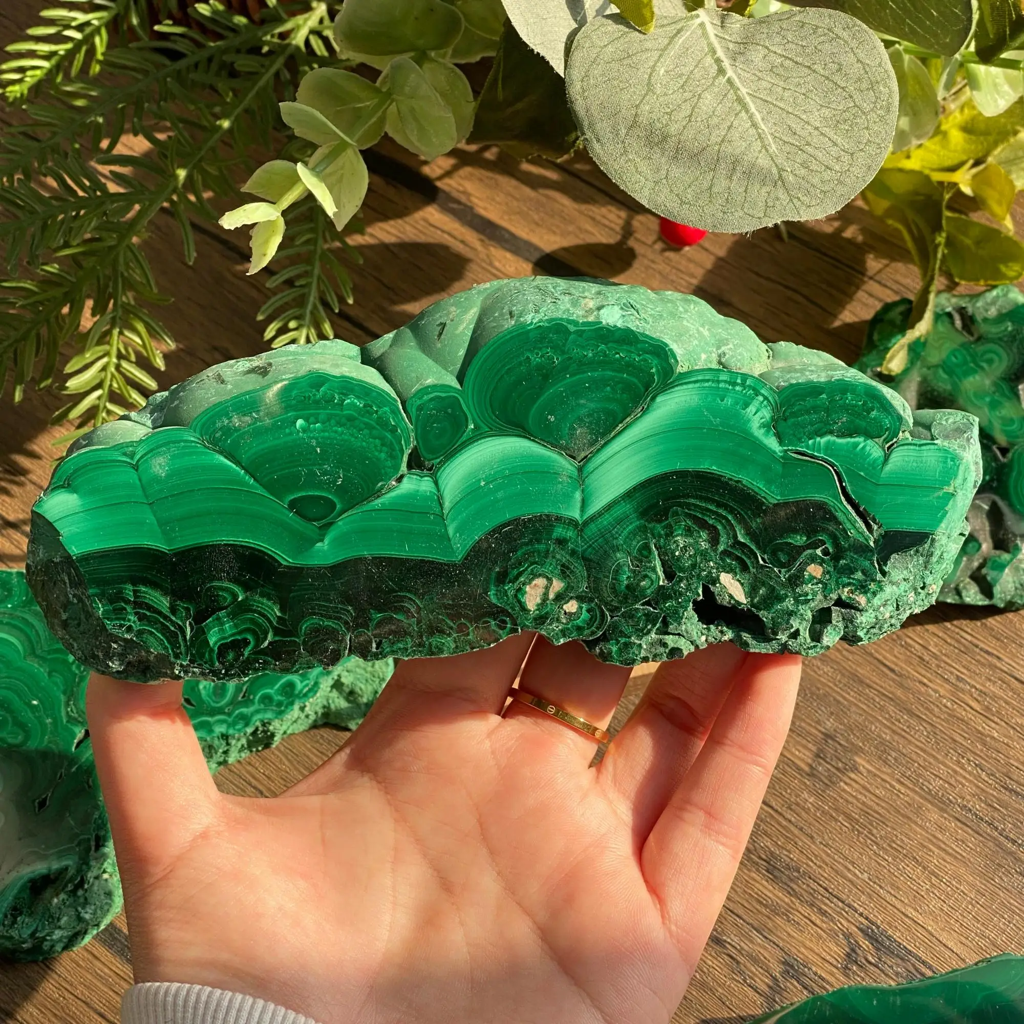 Polished Green Malachite Slice - Natural Crystal Slab, Reiki Healing Stone