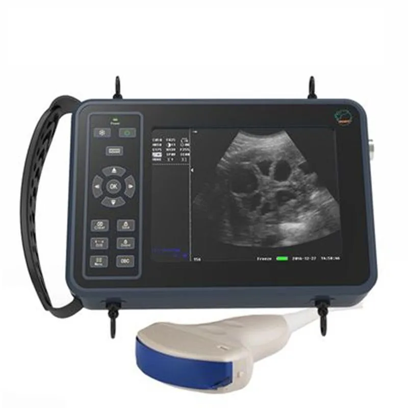 5.6 Inch Livestock Portable Veterinary Ultrasound Scanner Cattle Cow Pig Sheep Horse Screen Ultrasound Pregnancy Testing Machine