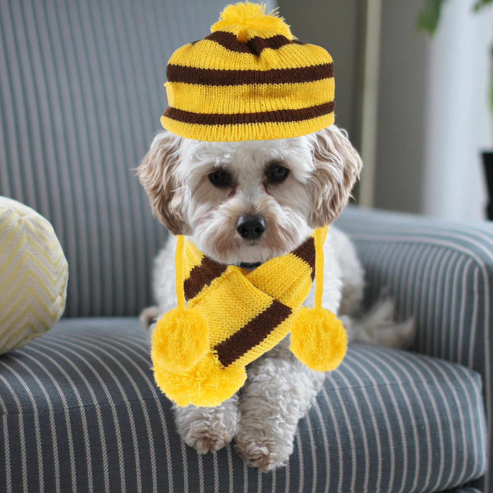 

1 set Dog Scarf Hat Set Knitted Winter Clothing Warm Costume For Pets Festival Party Outfit Xxs Yellow Brown Pet Accessories