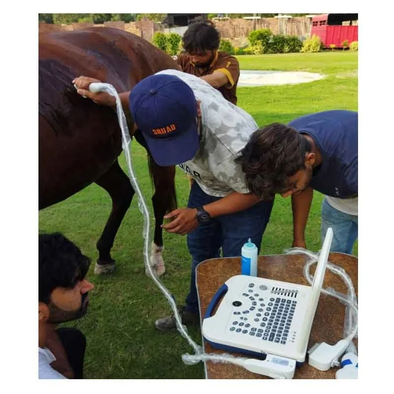 

Veterinary Portable Ultrasound Scanner Price Vets For Pets Ultrasound Price