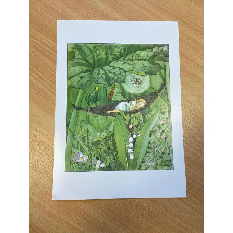 فن إلسا بيسكو 20 مطبوعات قابلة للإطار مطبوعة جدار إسكندنافية عتيقة كتب إلسا بيسكو فلوريس 9781782508861 كتاب