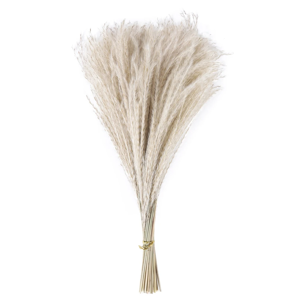 Reed Dried Grass Whisk Dried Flower Bouquet Decorative Arrangement Natural Reed Grass Tabletop Arrangement 80 Stems