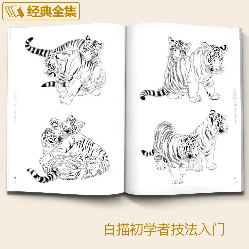 5000 Chinese Line Drawings Collection Book II Bird&Beast Coloring Book for Adults Art Reference Book 16K