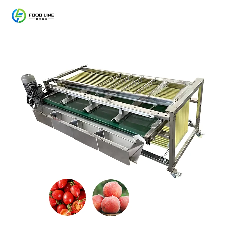 Customized Small Sorting Fruit Machine Dates Sorting Machine Fruit Processing Machinery