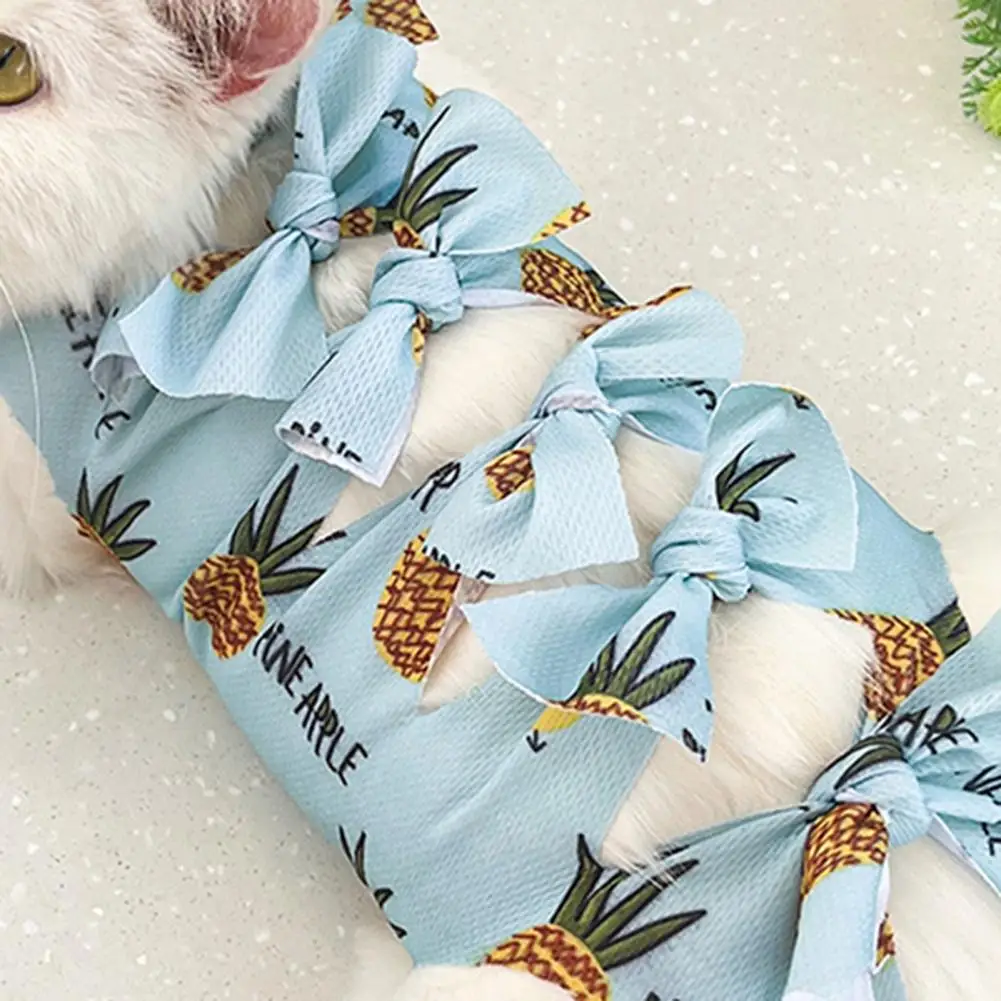 Pet Neuter Clothing Fruit Print Cat Neutering Suit Weaning Sterilization Jumpsuit for Small Dogs Cats Postoperative Care Clothes