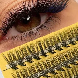 Natural Mink Eyelash Extensions, Personal Curl Lashes Cluster, Individual Lashes, Ferramentas de maquiagem, 20D C D L, Novo