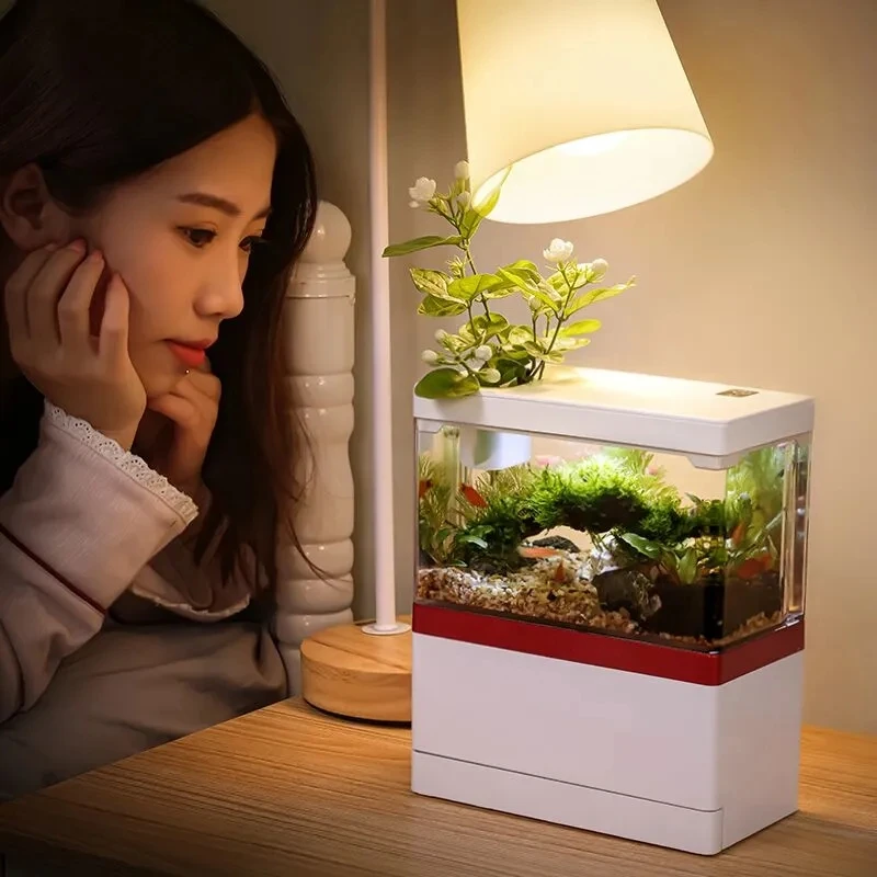 Small Acrylic Fish tank Mini Acrylic Aquarium Betta Fish tank
