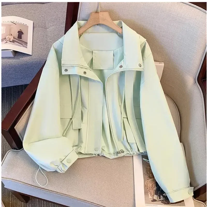 Short Hooded Jacket Women's Spring Autumn 2024 New Lady Loose Thin Work Jacket Top Solid Casual Student Zipper Outwear