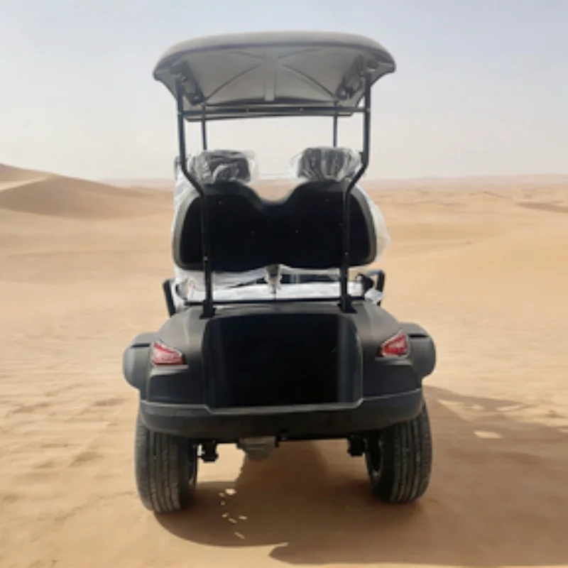 Rapid Delivery Electric Golf Cart Street Legal Commuter Car 2 Person Black High-End Seats With Headrest 14-Inch Off-Road Tires