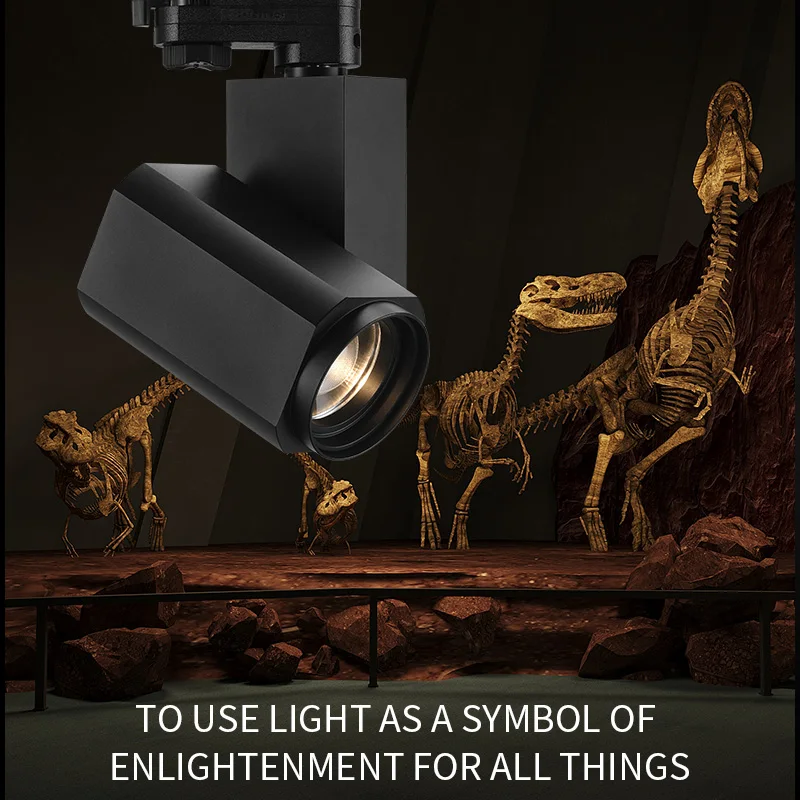 30W Electric Automatic Zoom LED Track Light for Shop Window Restaurant Lighting High CRI 95 Dimmable Aluminum Body Track