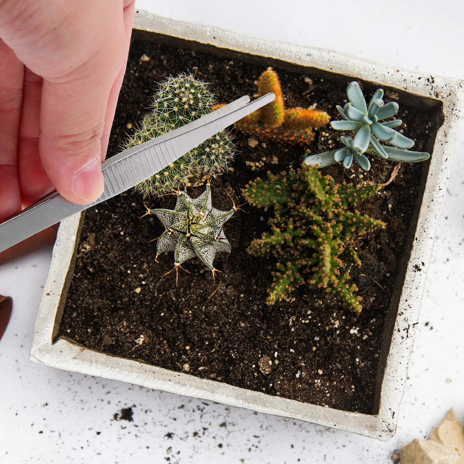 

4pcs Stainless Steel Tweezers Lightweight Garden Hand Tools For Succulent Planting Portable Bonsai Tool Compact Gardening