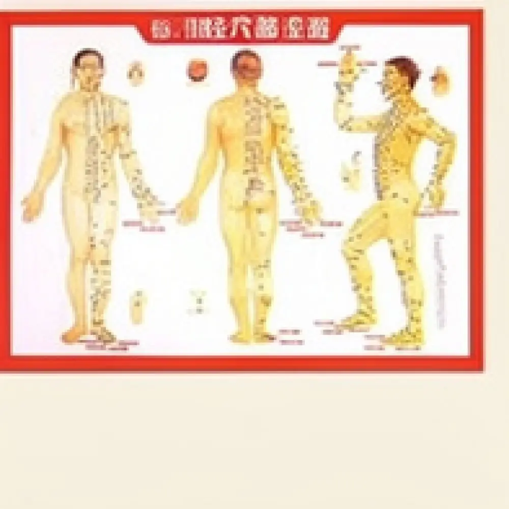 Manual Silicone Meridian Patting Board Body Relaxation Tapping Stick Shoulder Back Massage Equipment Health Tool