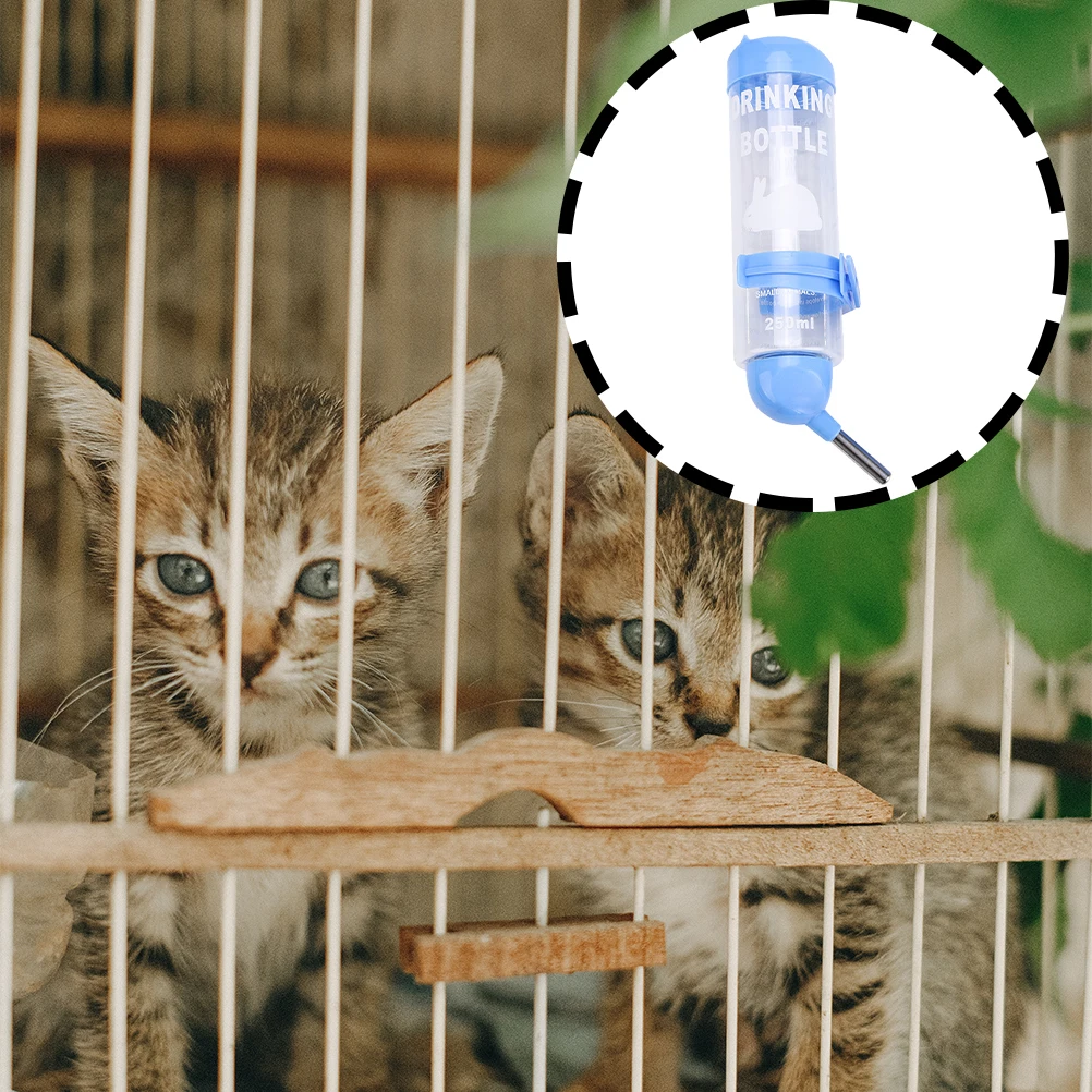 

3Pcs Round Head Water Bottle Durable Transparent Easy Install Pet Cage Accessory Rabbit Hamster Chinchilla Automatic Feeder