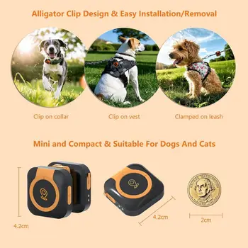 8 best sales GPS pour chien - №6