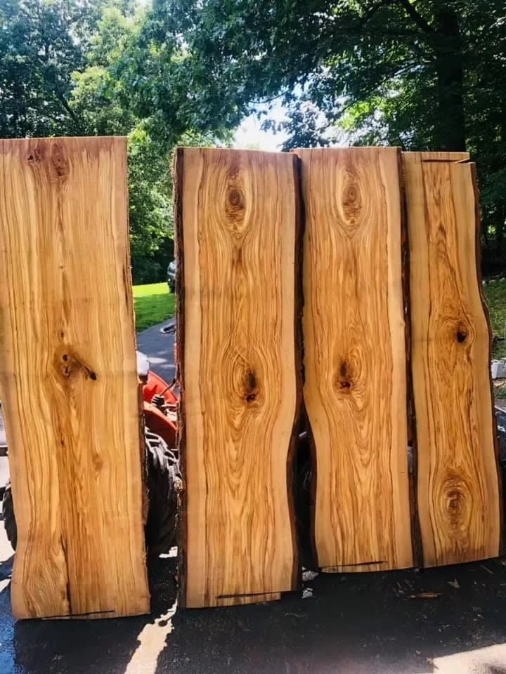 18 inch goedkope benzine aangedreven draagbare zaagmolen voor het zagen van houtstammen, geschikt voor boerderijen, bosbouwprojecten en particuliere gebruik.