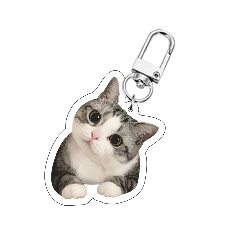

Pet keychain kitten dog photo DIY schoolbag pendant