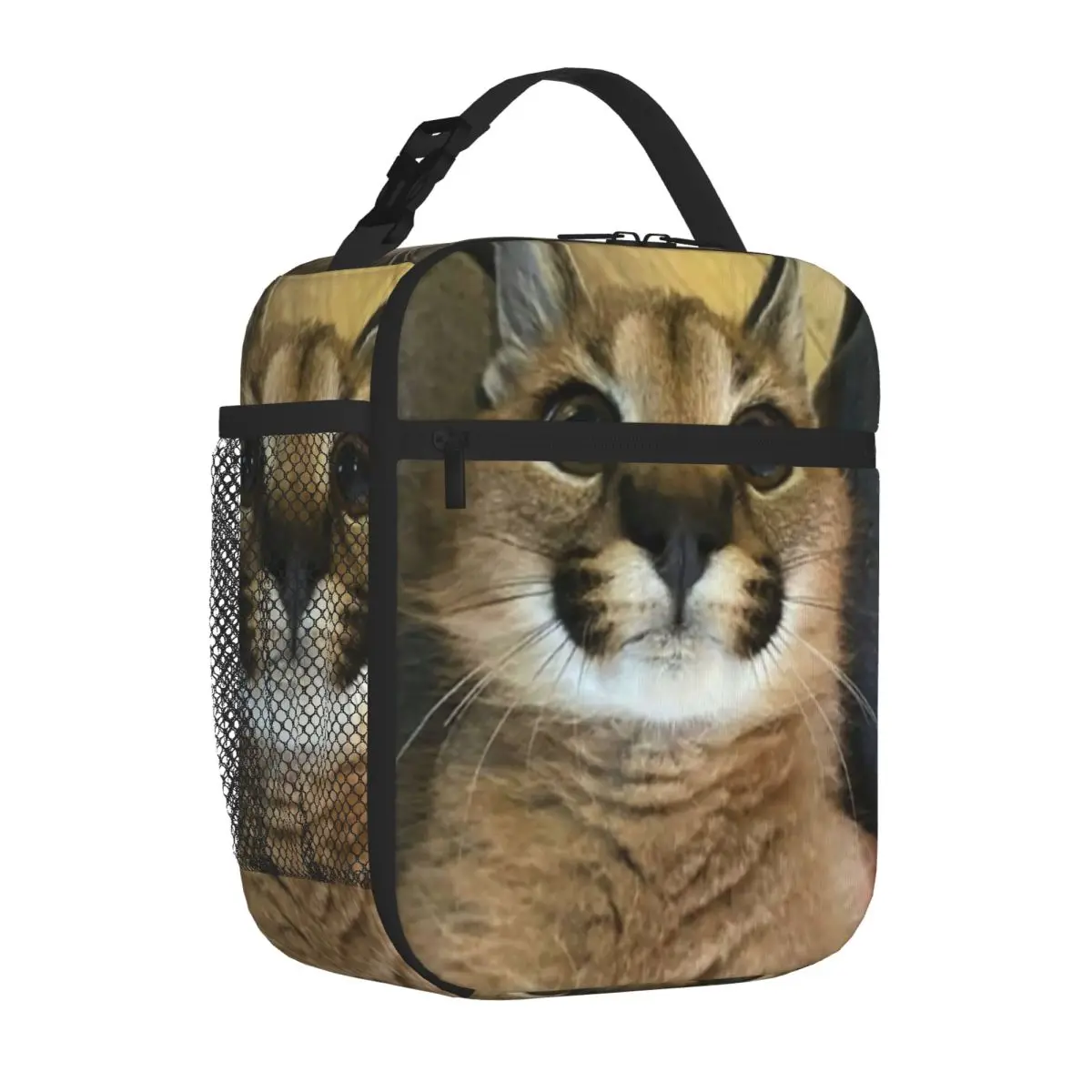 Bestselling Floppa Cute Memet 2021 Breathable Design Student Lunch Bag Beach Outing Picnic Lunch Bag