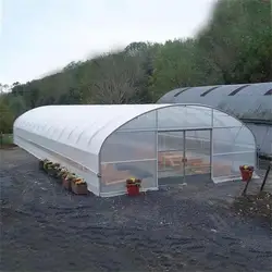 8M*10M Greenhouse vegetable planting cucumber tomato greenhouse sunshine house greenhouse greenhouse bracket