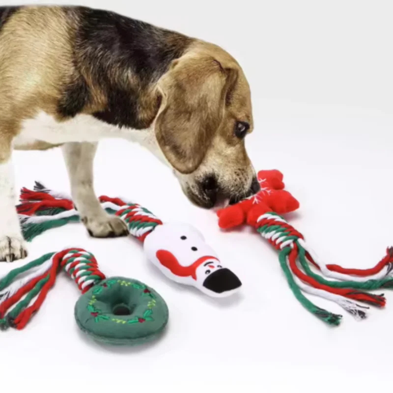 Jouet interactif à mâcher en corde de coton nouée pour chiens, jouet amusant pour chiot, pour les dents et les molaires, fournitures amusantes pour animaux de compagnie, cadeau