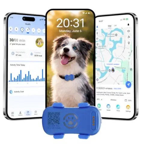 GPS Tracker for Dogs with Activity and Wellness Monitoring, Real-time Tracking Pet GPS Location Tracker, Waterproof Location Hi