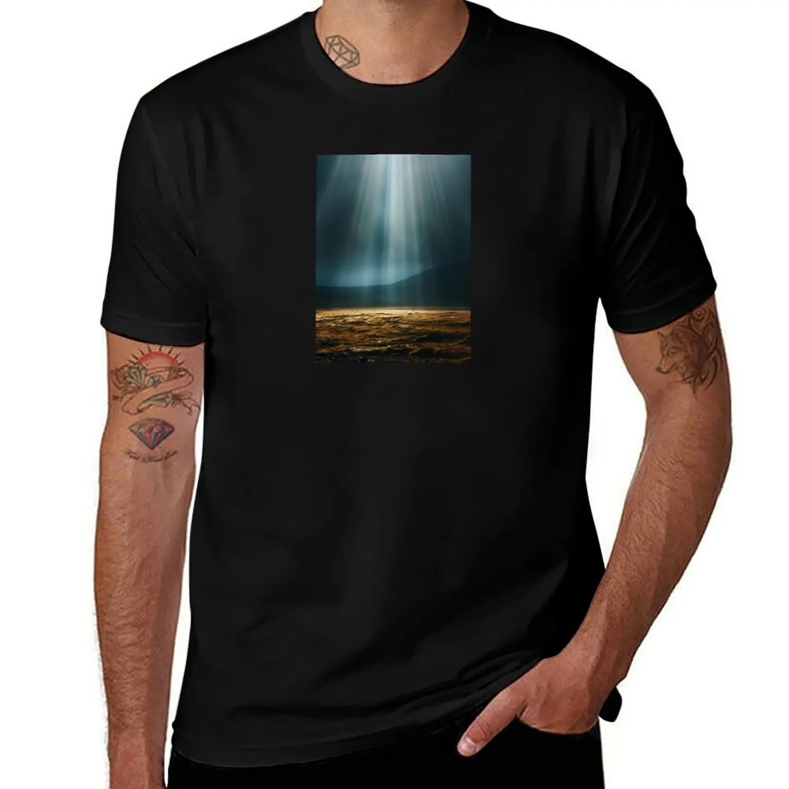 

Divine Illumination: Light on Barren Earth T-Shirt man clothes sweat quick-drying men workout shirt