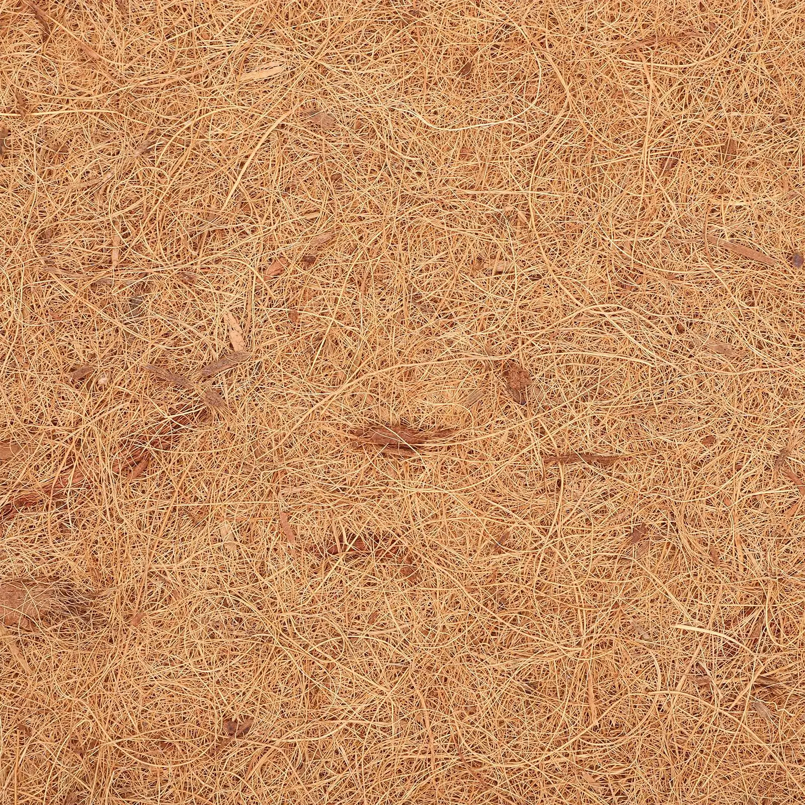 Lining Coconut Palm Mat Leopard Print Rug Turtle Coir Animal Reptile Climbing