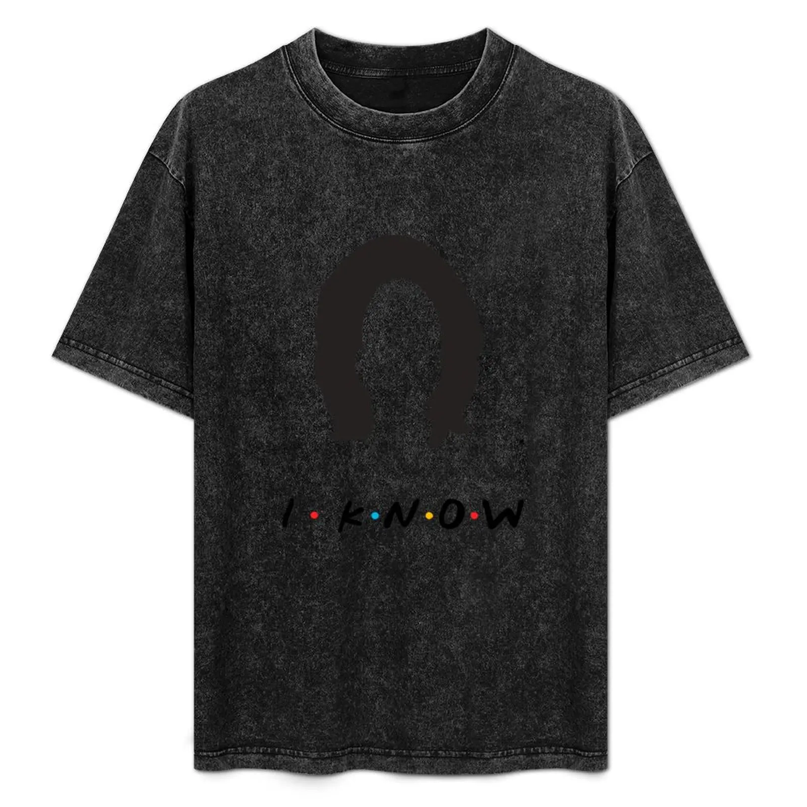 

Monica Geller T-Shirt Casual Everyday Short Sleeve T-Shirt