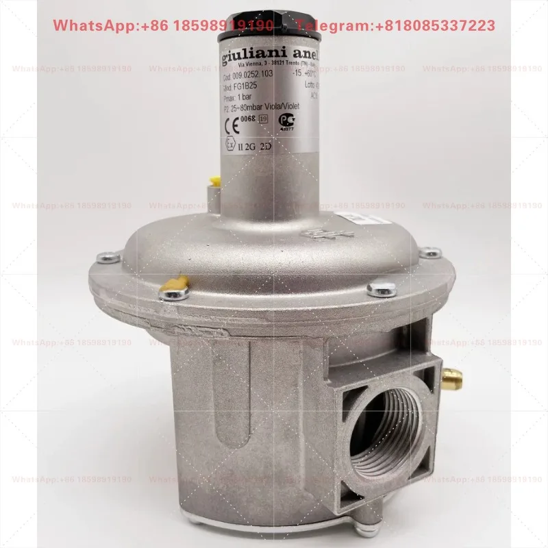 FG1B20 FG1B25 FG1B32 Gas Pressure Regulator With Built-in Filter Natural Gas Stabilizing Valve