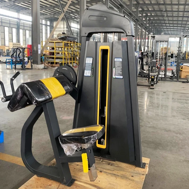 

Professional Sports Commercial Gym Equipment Strength Bodybuilding Pin Loaded Camber Curl Strength Machine