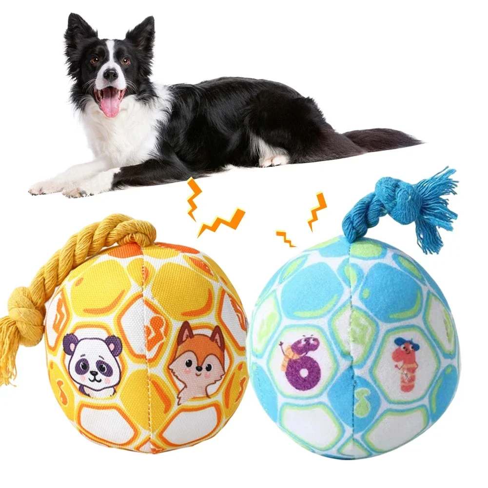 Outdoor Pet Dog Toys Interactive Ball Dog Toy Creative Decompress Bite Resistant Dog Toys Durable Dog Chew Toys Pet Supplies