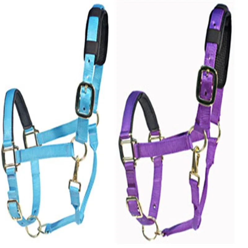 1 PC Horse Halter COLLAR Reins ขา GUARD อุปกรณ์ขี่ม้าสําหรับ Horse Halters