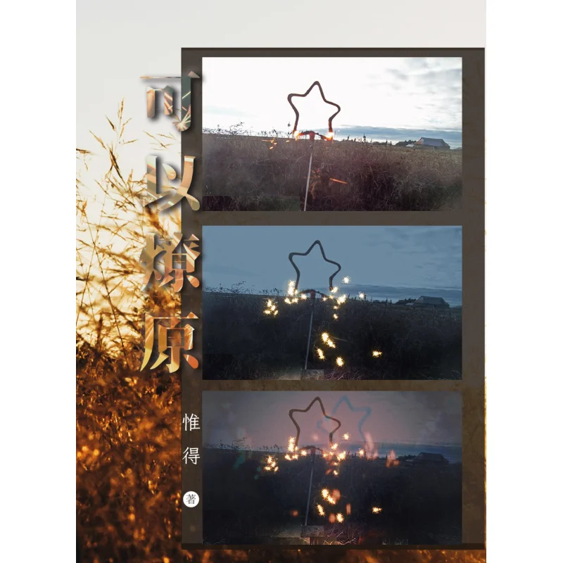 

It Can Spread Like Wildfire Only In Chuwen Publishing House Co LTD 9789887625353 Book