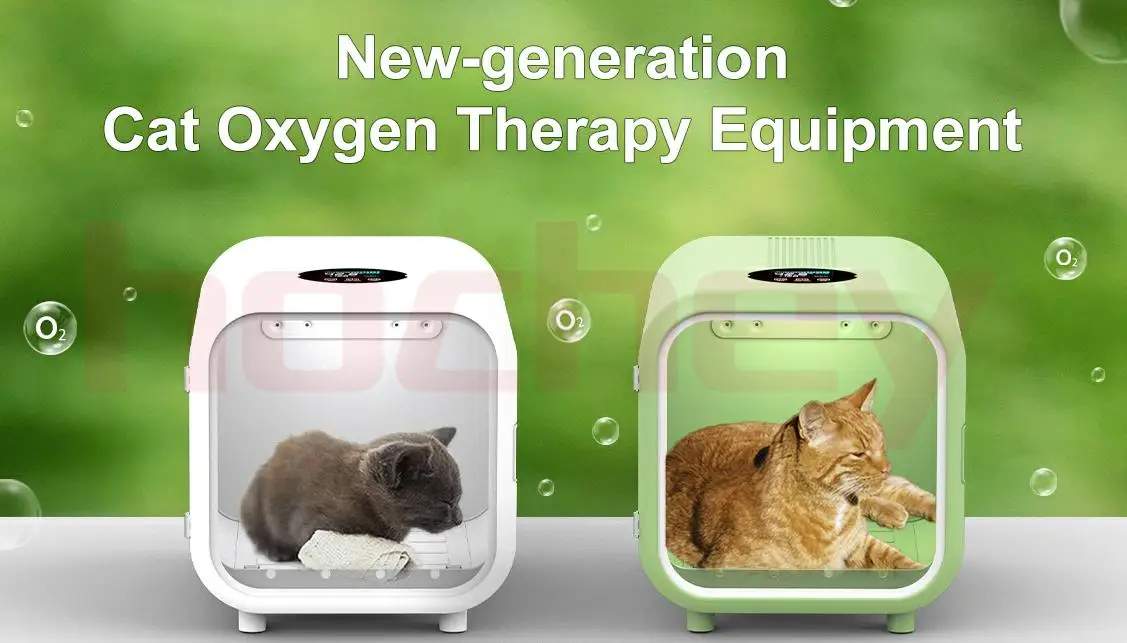 MT MEDICAL Hospital ICU Veterinary Oxygen Chambers Pets Stable Oxygen Therapy Chamber For Dogs Cats Puppy Animal Chamber